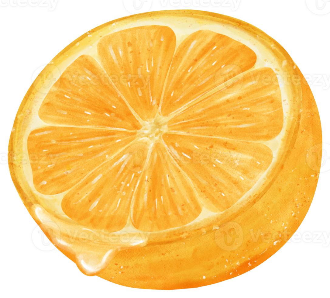 Watercolour piece sliced cut orange fruit with juice drip hand painted illustration png