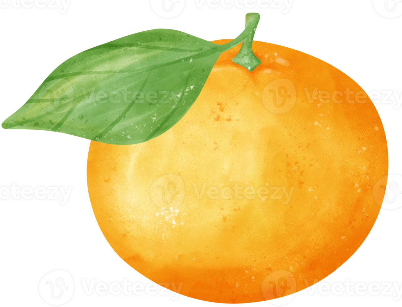 Watercolour orange fruit with green leaf hand painted illustration png