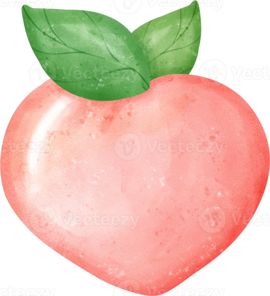 cute sweet pink peach watercolour hand painting png