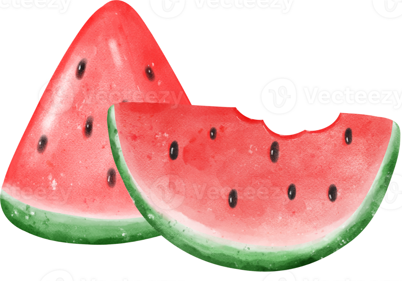 cute fresh watermelon fruit watercolor png