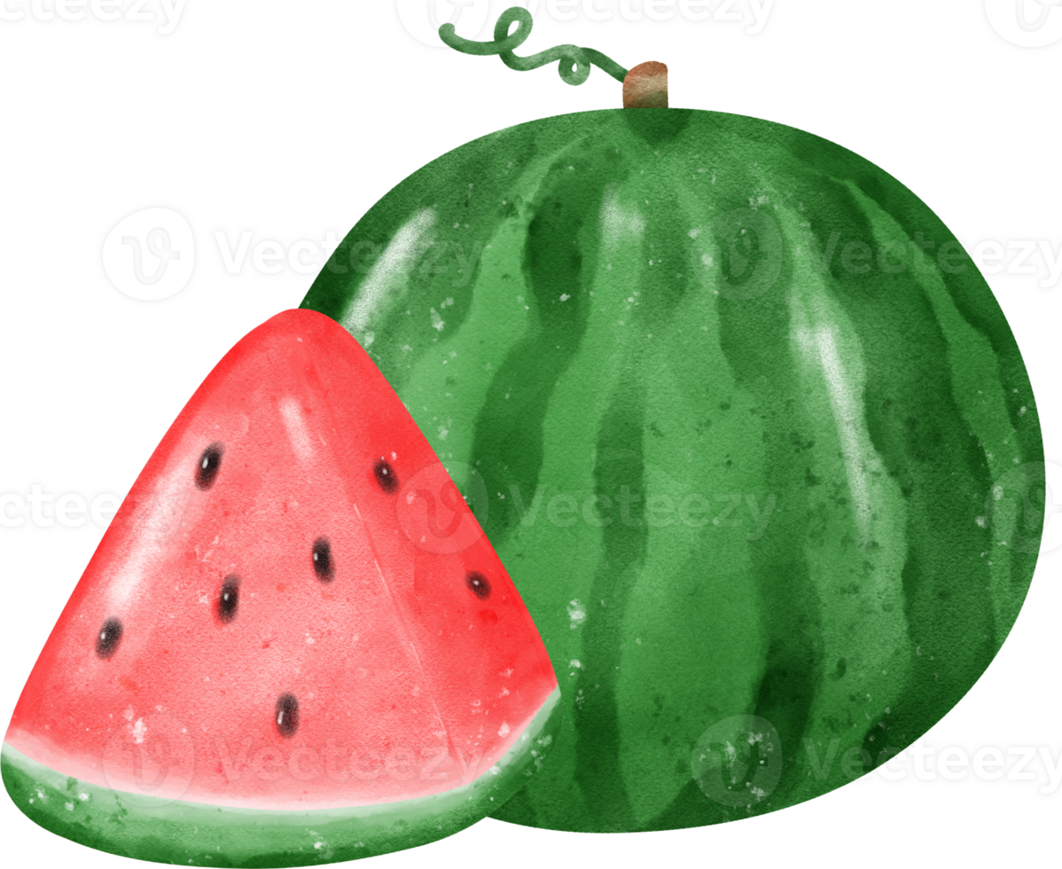 cute fresh watermelon fruit watercolor png