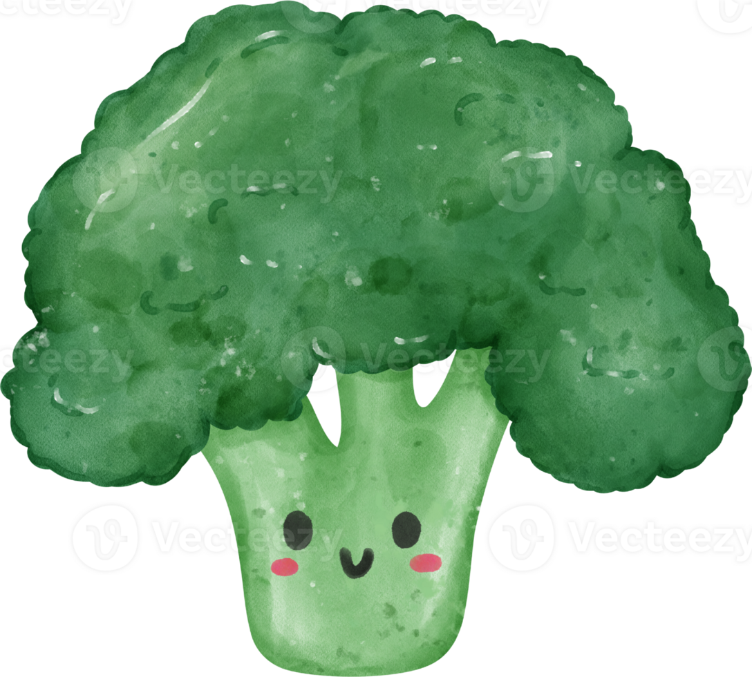 cute kawaii Watercolor fresh green broccoli vegetable vibrant color hand drawing png