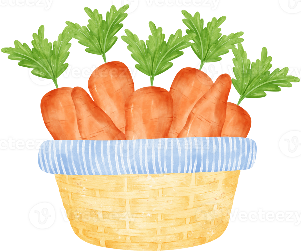 Watercolour carrots vegetable wicker vintage basket png