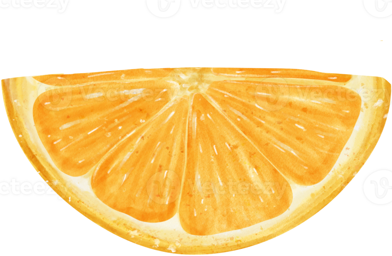 vattenfärg bit skivad skära orange frukt hand målad illustration png