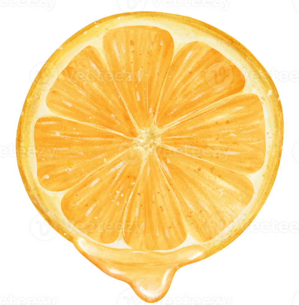 waterverf stuk gesneden besnoeiing oranje fruit met sap druppelen hand- geschilderd illustratie png