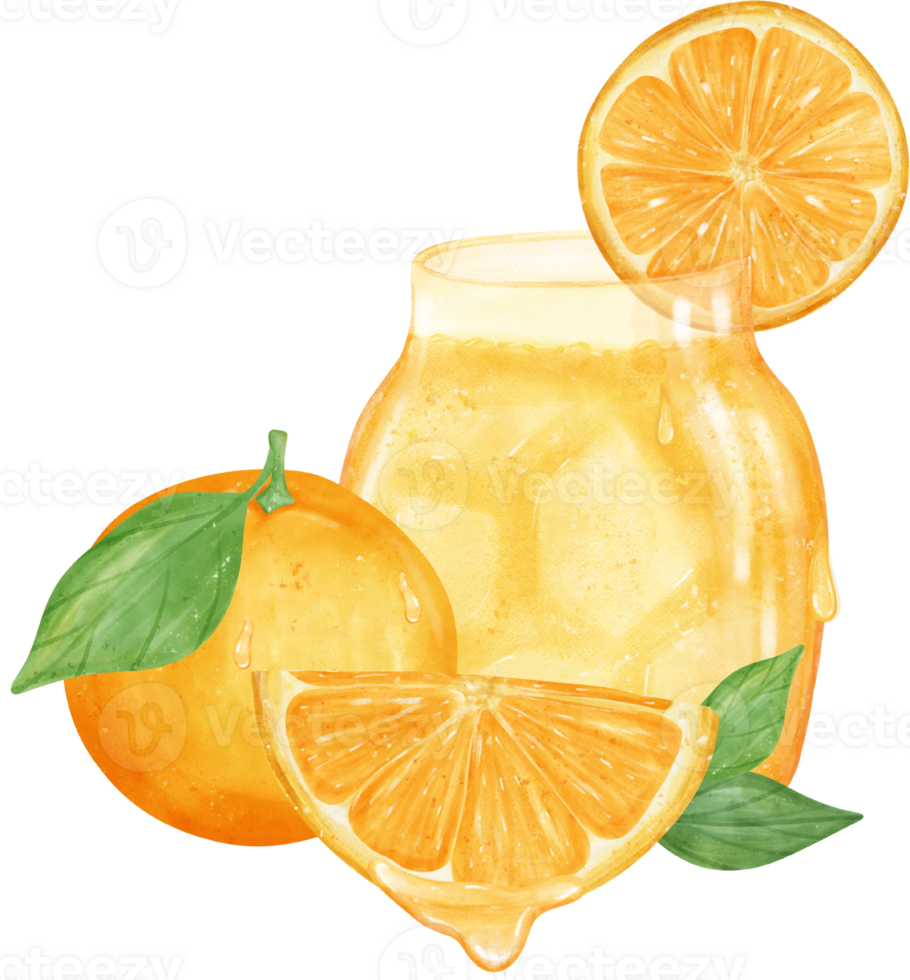aguarela fresco laranja fruta suco mão pintado ilustração png