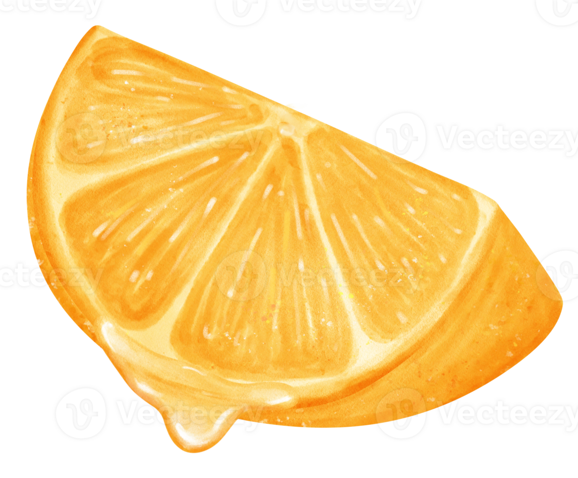 Watercolour piece sliced cut orange fruit with juice drip hand painted illustration png