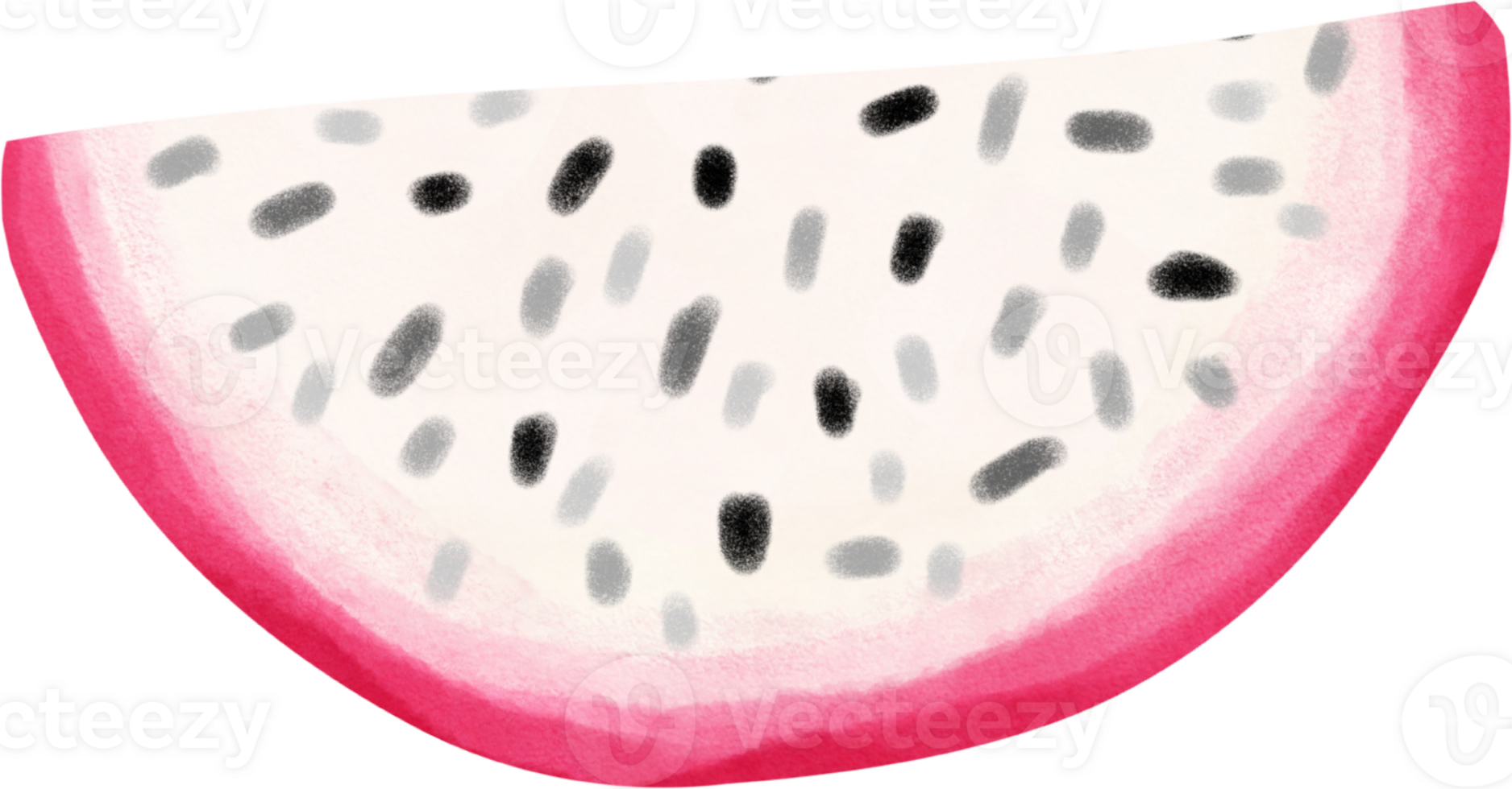 schattig tropisch pitaya draak fruit voor de helft besnoeiing waterverf hand- schilderij png