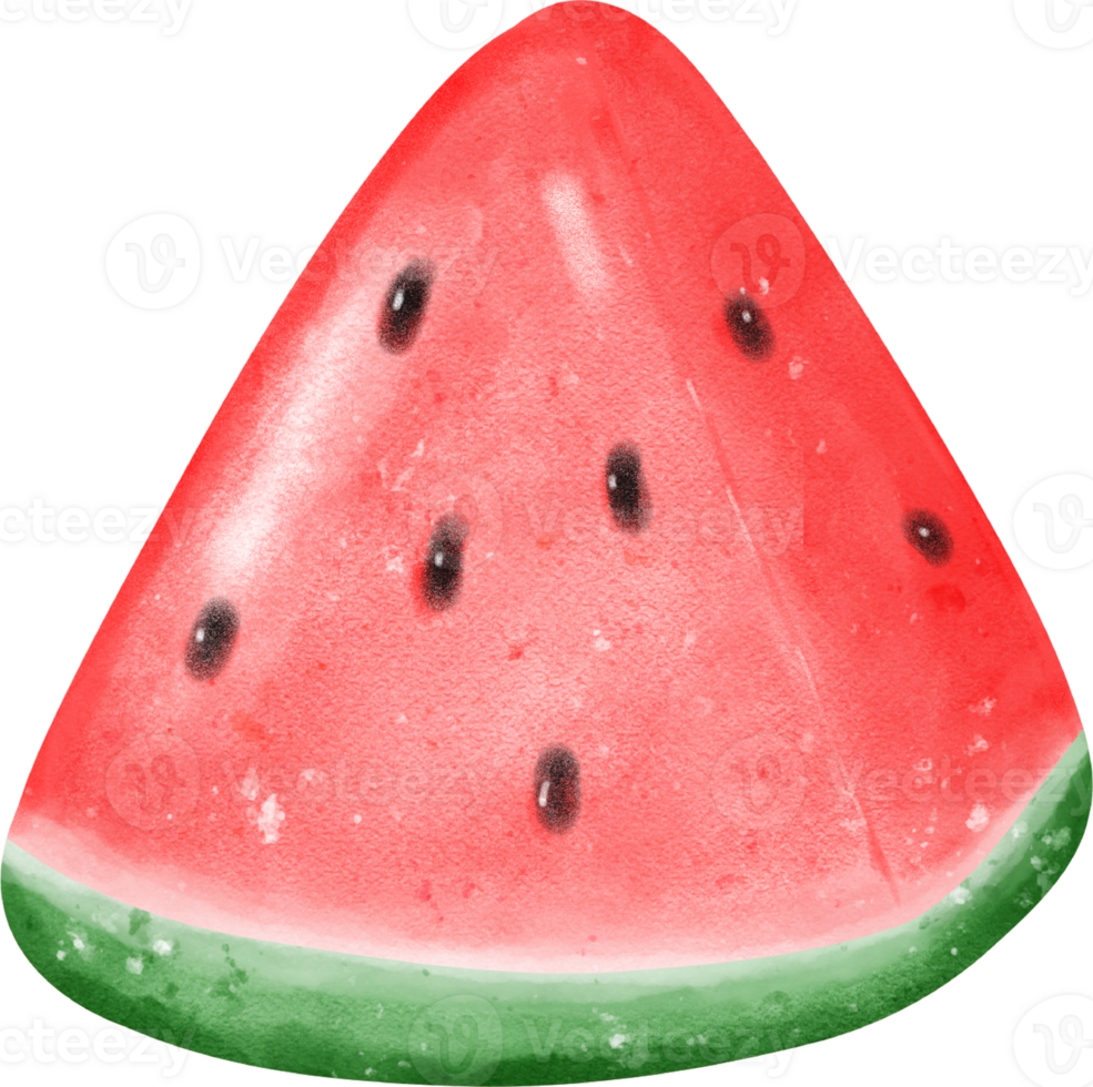 cute fresh quarter cut watermelon fruit watercolor png