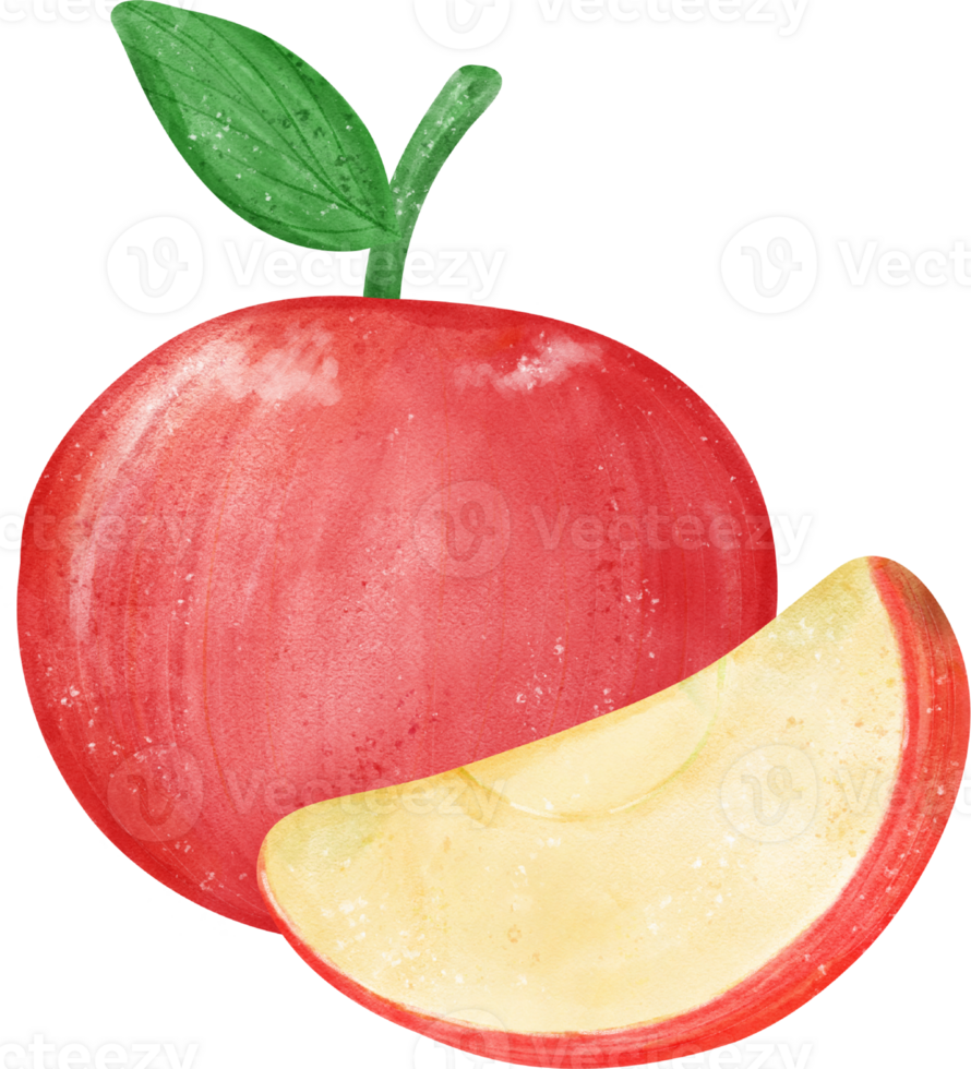 cute fresh whole red apple fruit watercolor png