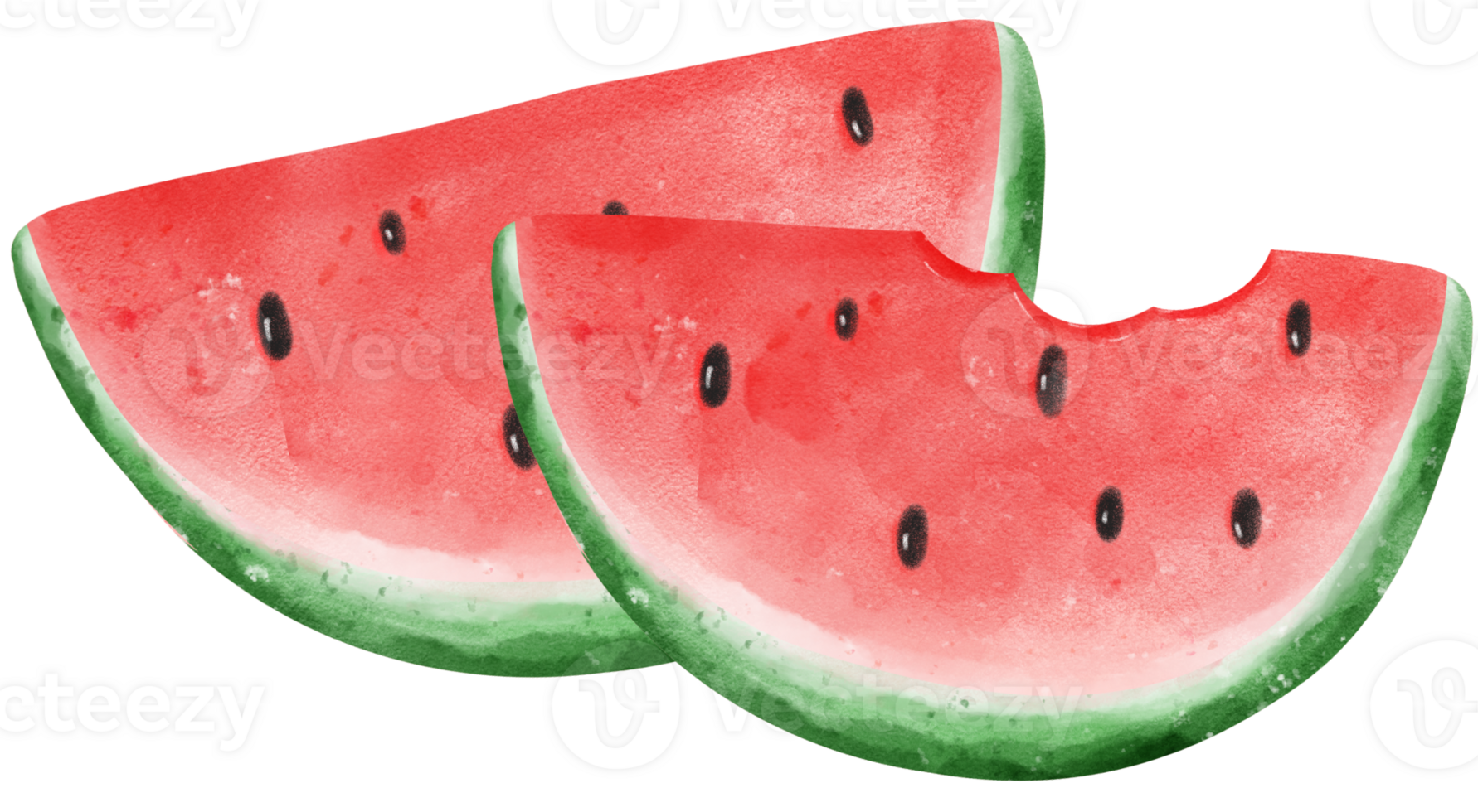 süß frisch Wassermelone Obst Aquarell png