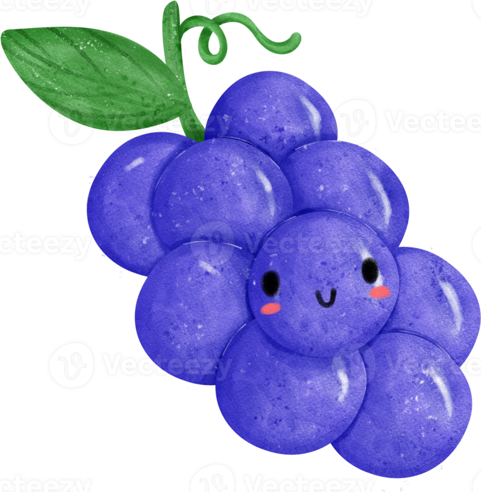 Kawaii happy face grapes fruit cute character watercolour hand painting png