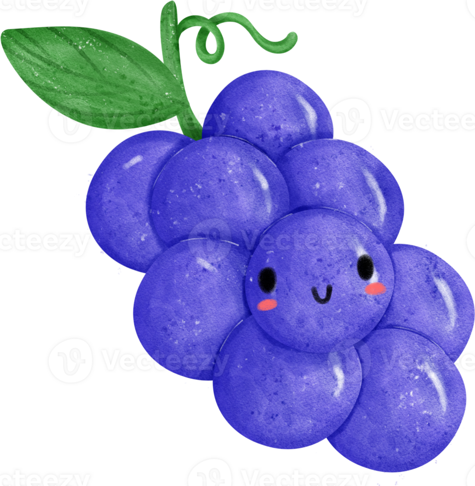 Kawaii happy face grapes fruit cute character watercolour hand painting png