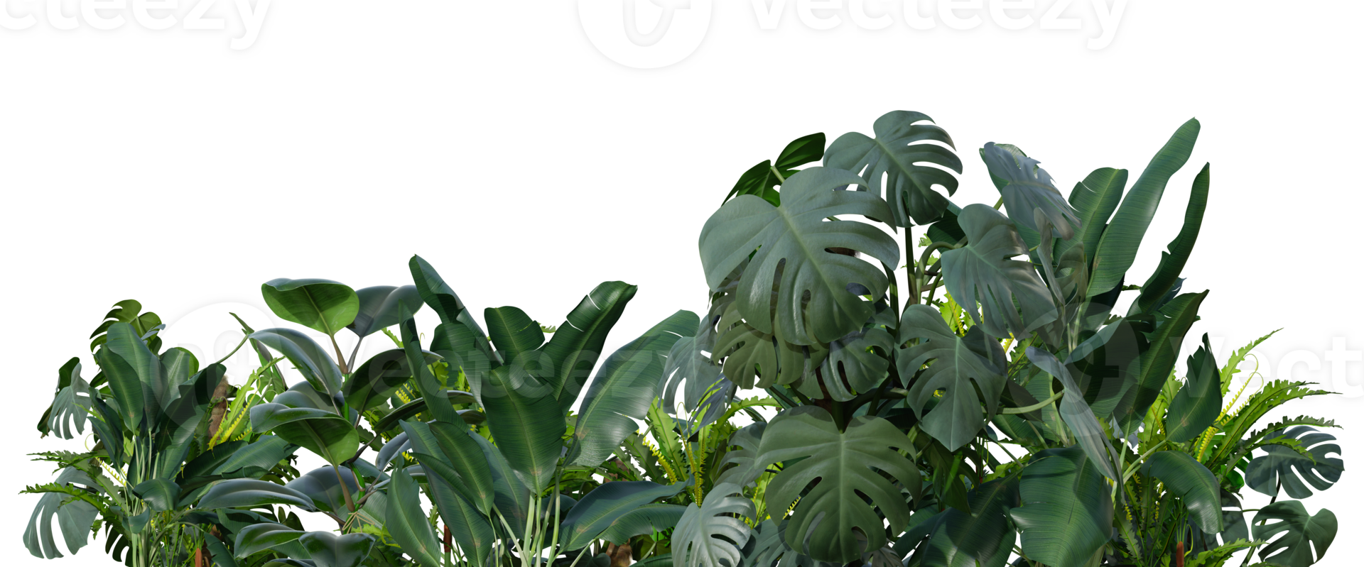 Tropical plants on transparent background as png. Botanical foreground. Lower frame, border. Cut out graphic design element. 3D rendering. png
