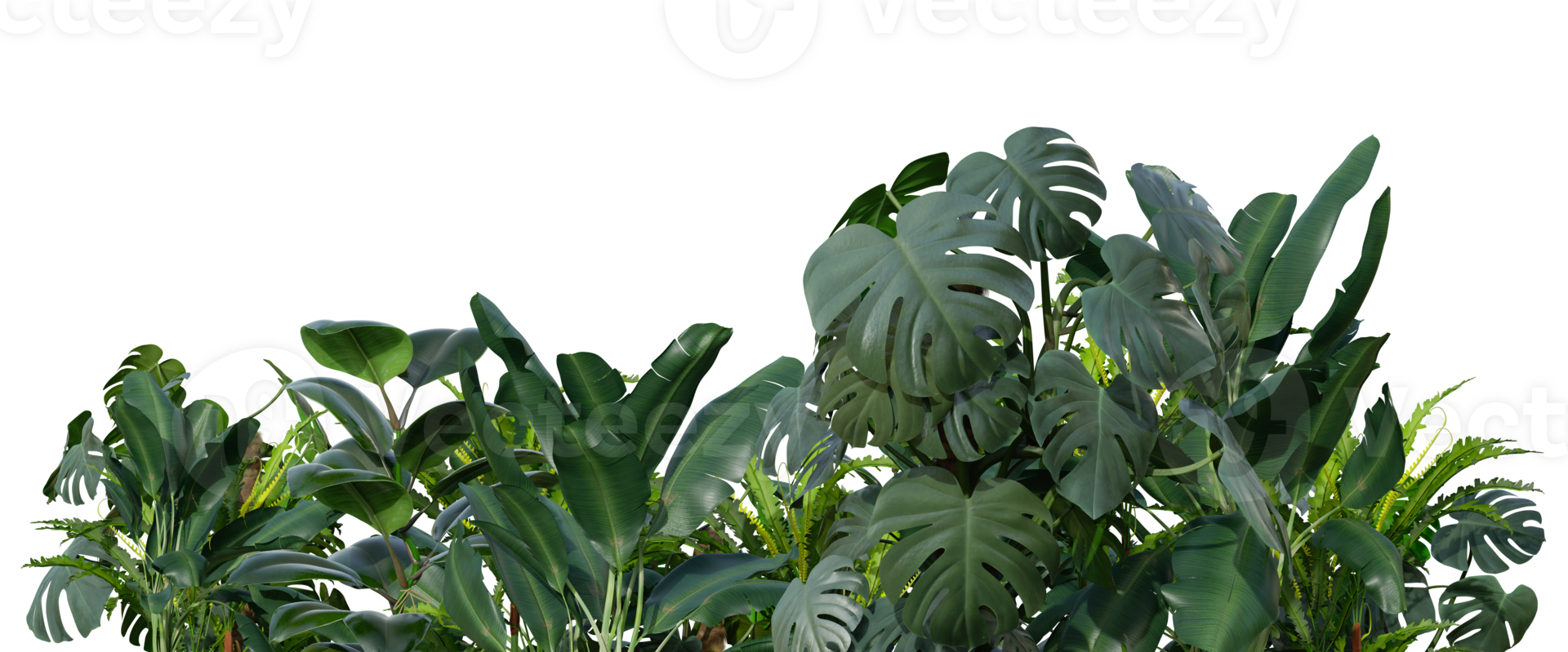 Tropical plants on transparent background as png. Botanical foreground. Lower frame, border. Cut out graphic design element. 3D rendering. png