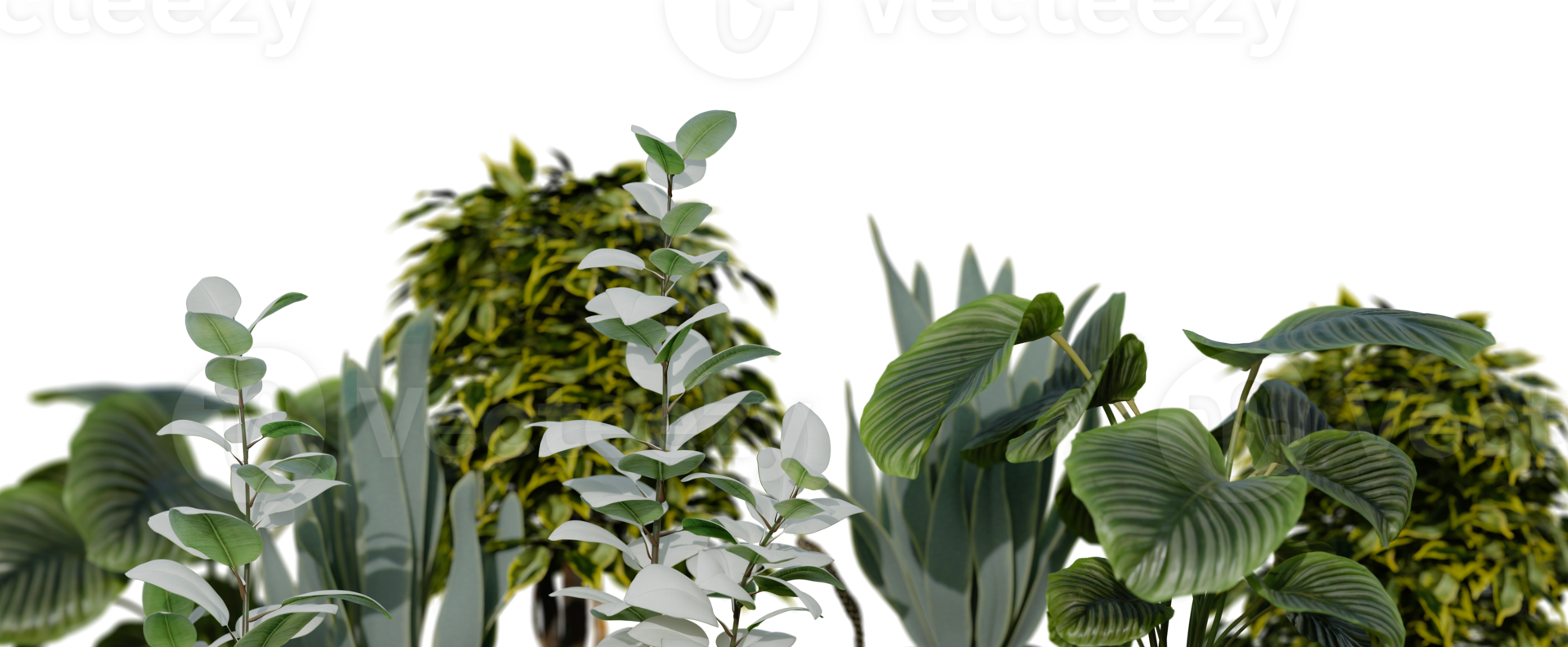 Plants, leaves on transparent background as png. Botanical foreground. Lower frame, border. Cut out graphic design element. 3D rendering. png