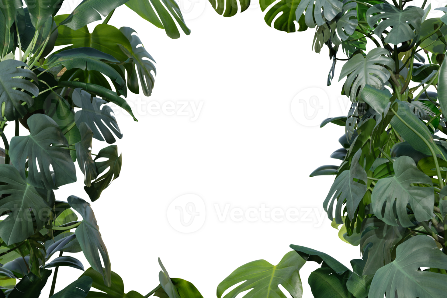 Tropical plants on transparent background as png. Botanical foreground. Frame, border with copy space in the middle. Cut out graphic design element. Realistic leaves. 3D rendering. png