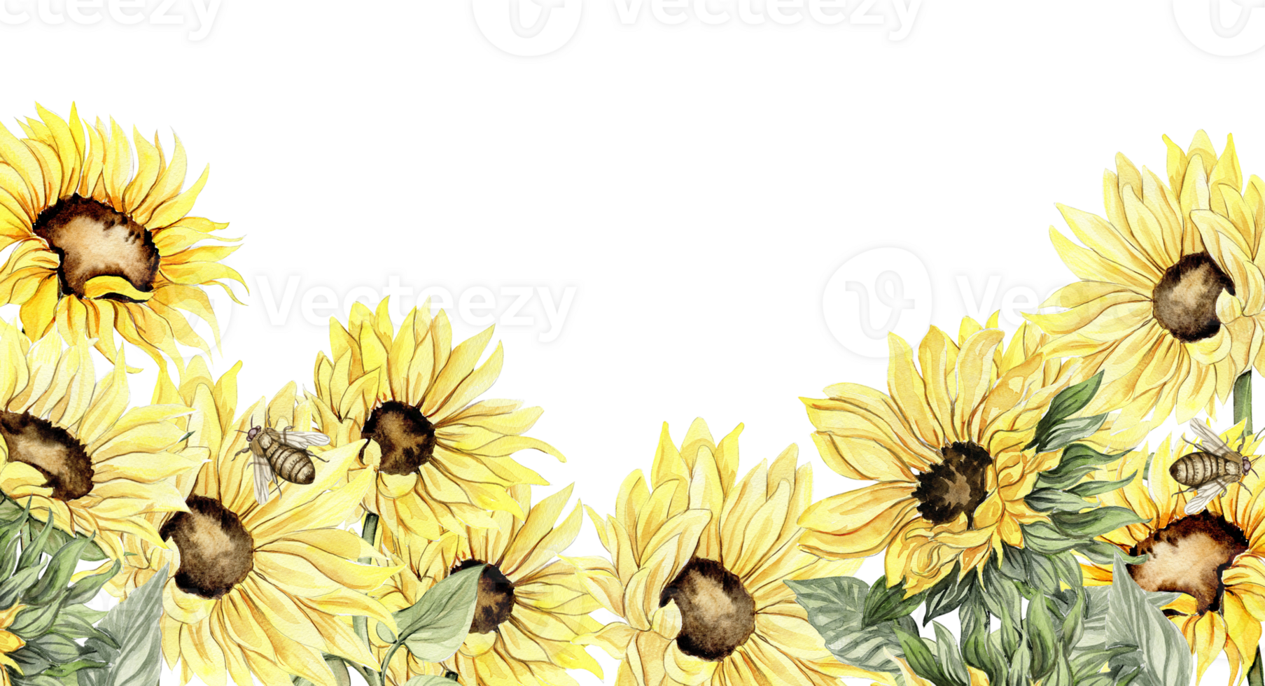 Watercolor horizontal seamless background with sunflowers. Butterflies in cartoon style. Hand drawn illustration of summer. Perfect for scrapbooking, kids design, wedding invitation. greetings cards. png