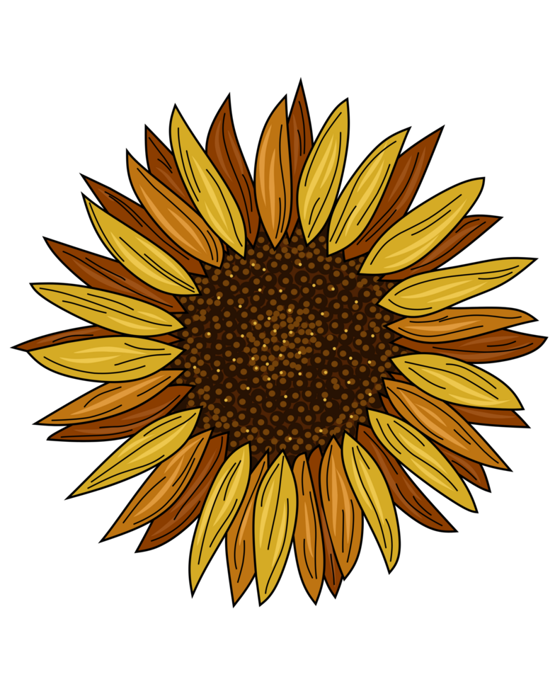 Sunflower creative art png