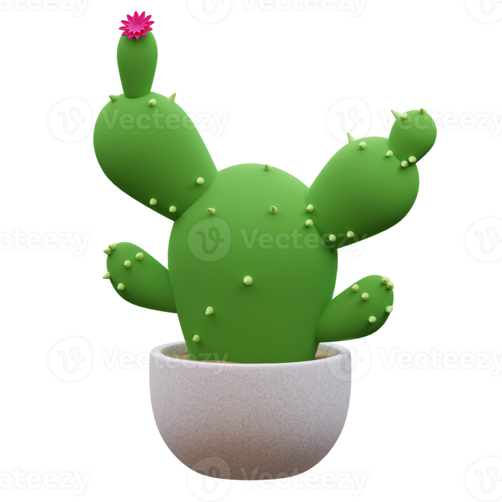 Cute Cactus 3D Illustration png