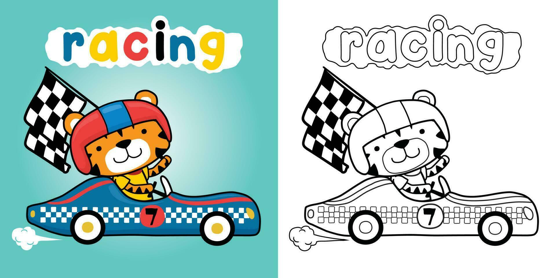 Cute tiger wearing helmet on racing car carrying checkered flag. Coloring book or page vector