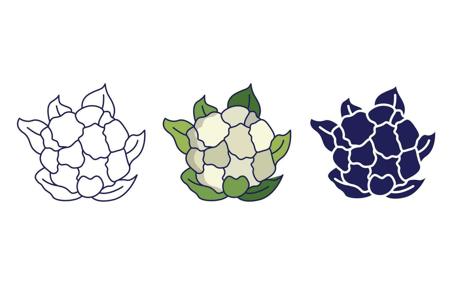 Cauliflower vector icon