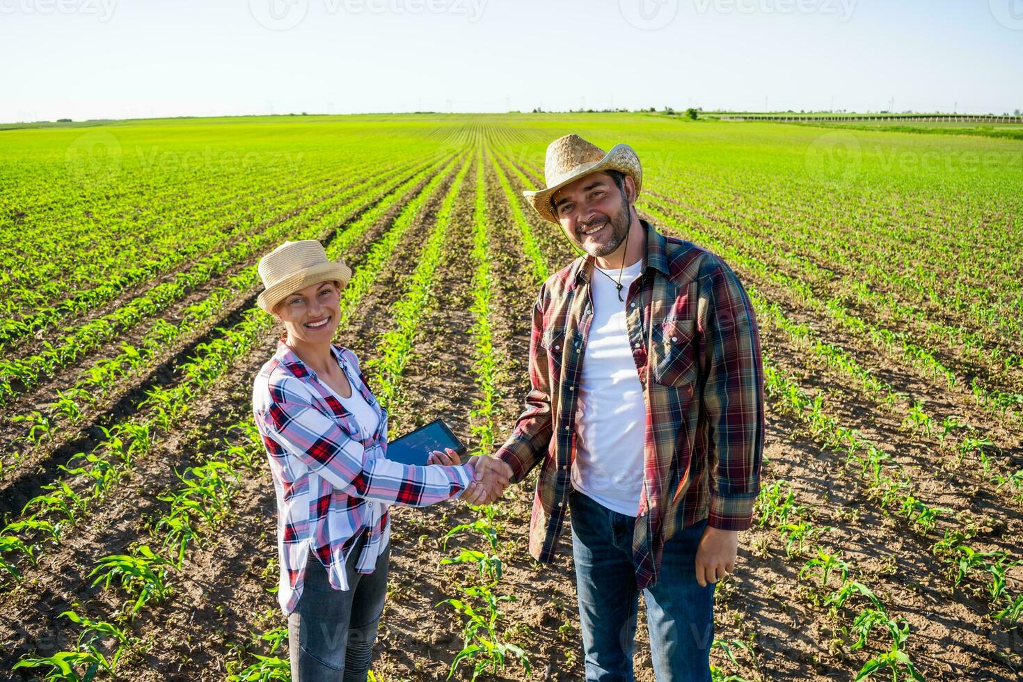 Farmer couple on their land and plantation photo