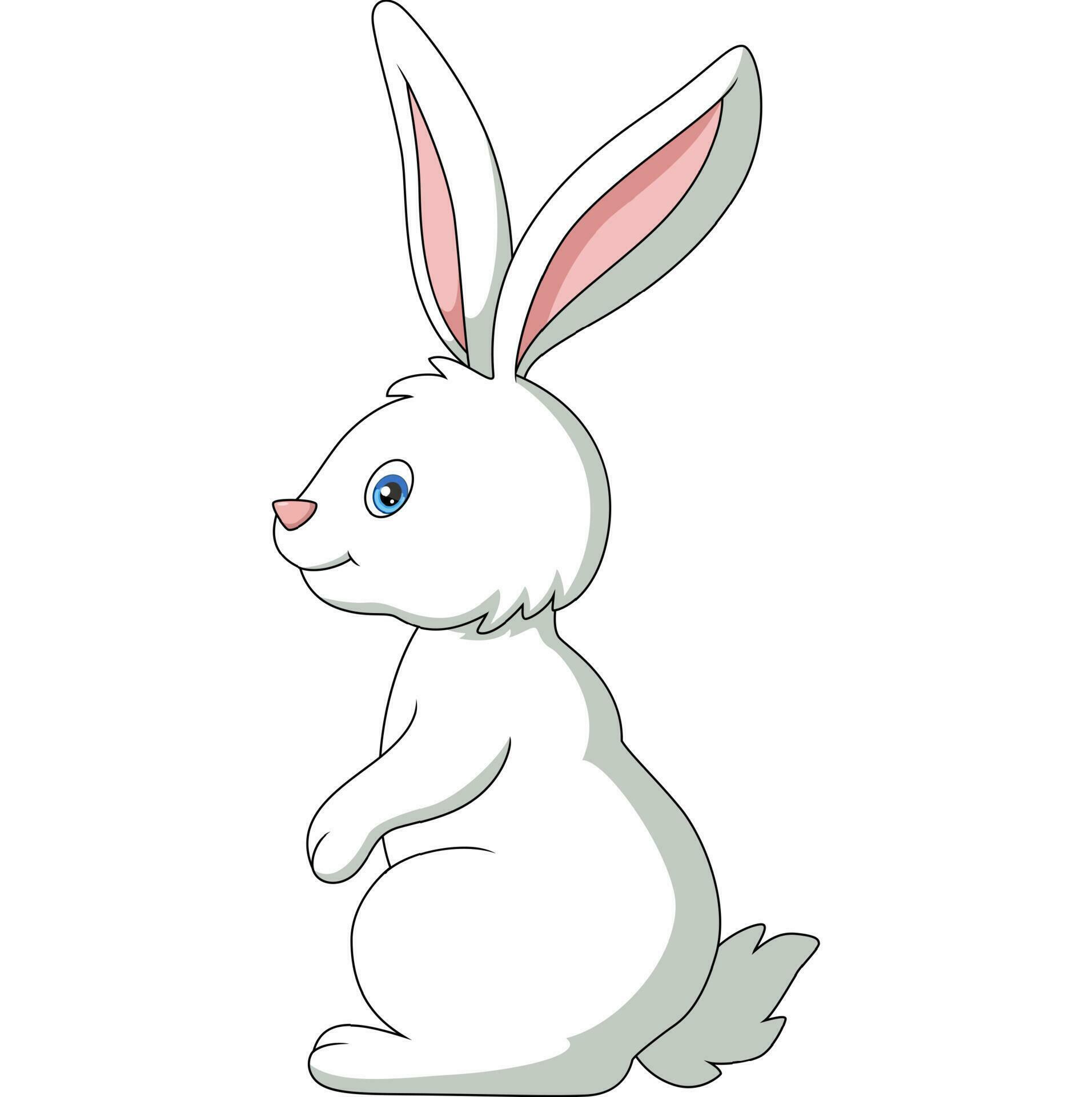 Cute white bunny cartoon on white background 23254134 Vector Art at