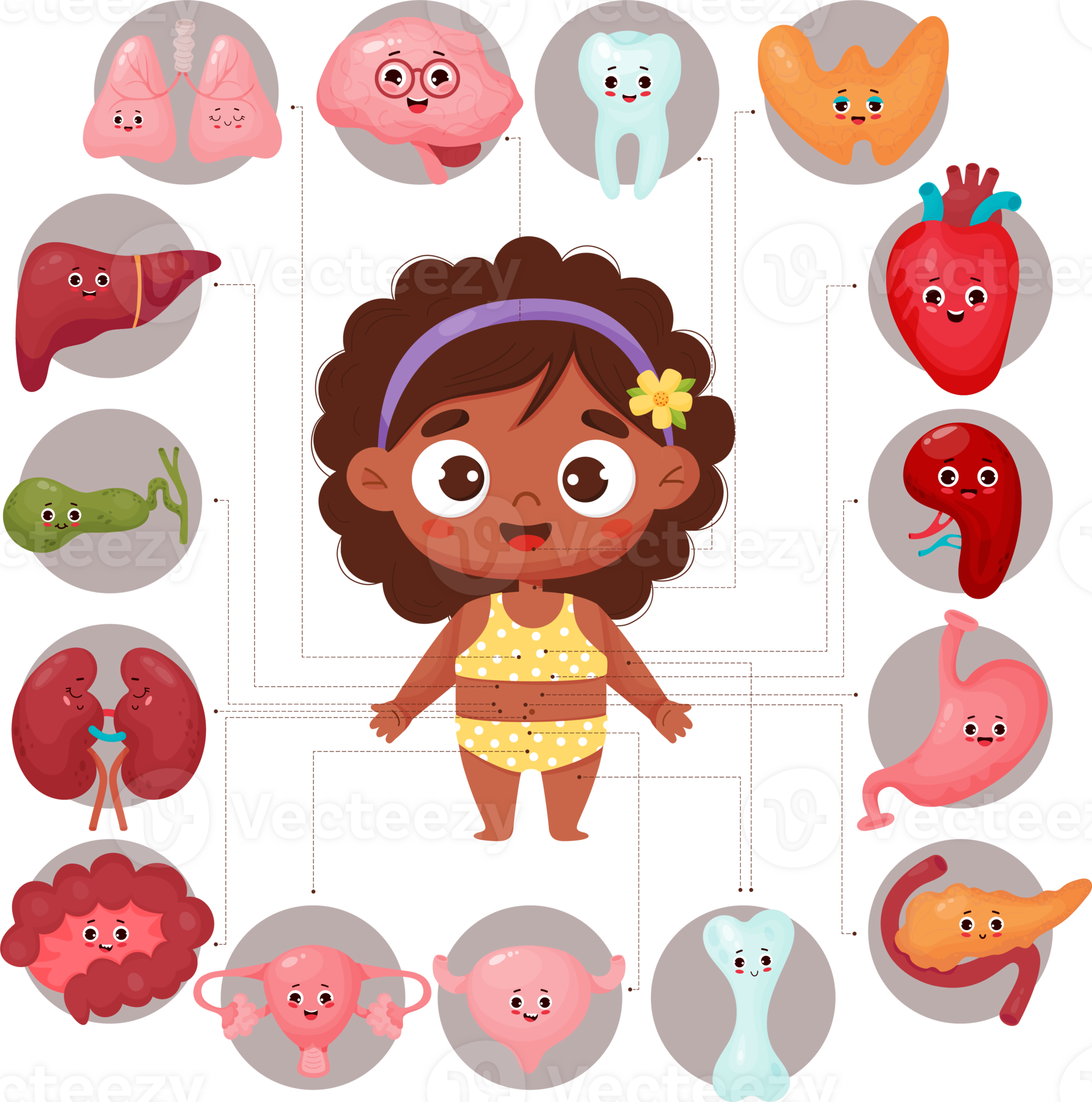 Free Anatomy human body. ethnic girl 23254420 PNG with Transparent