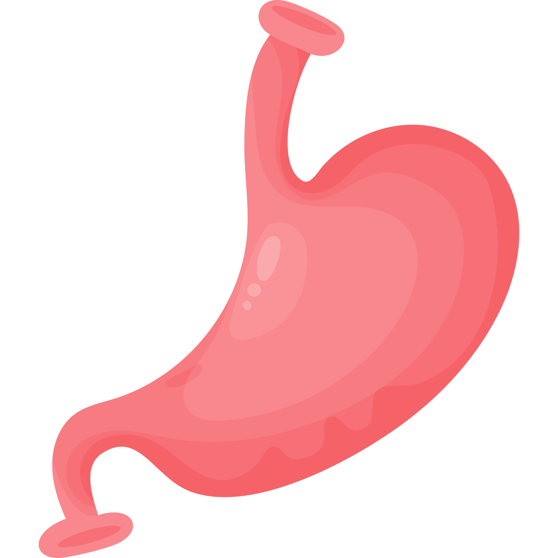 Human Organ Stomach 23254451 PNG human-organ-stomach-23254451-png