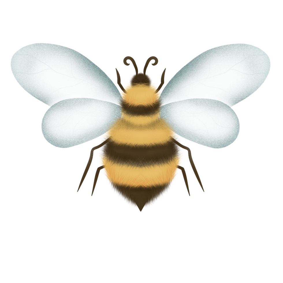 Cute bumblebee illustration png