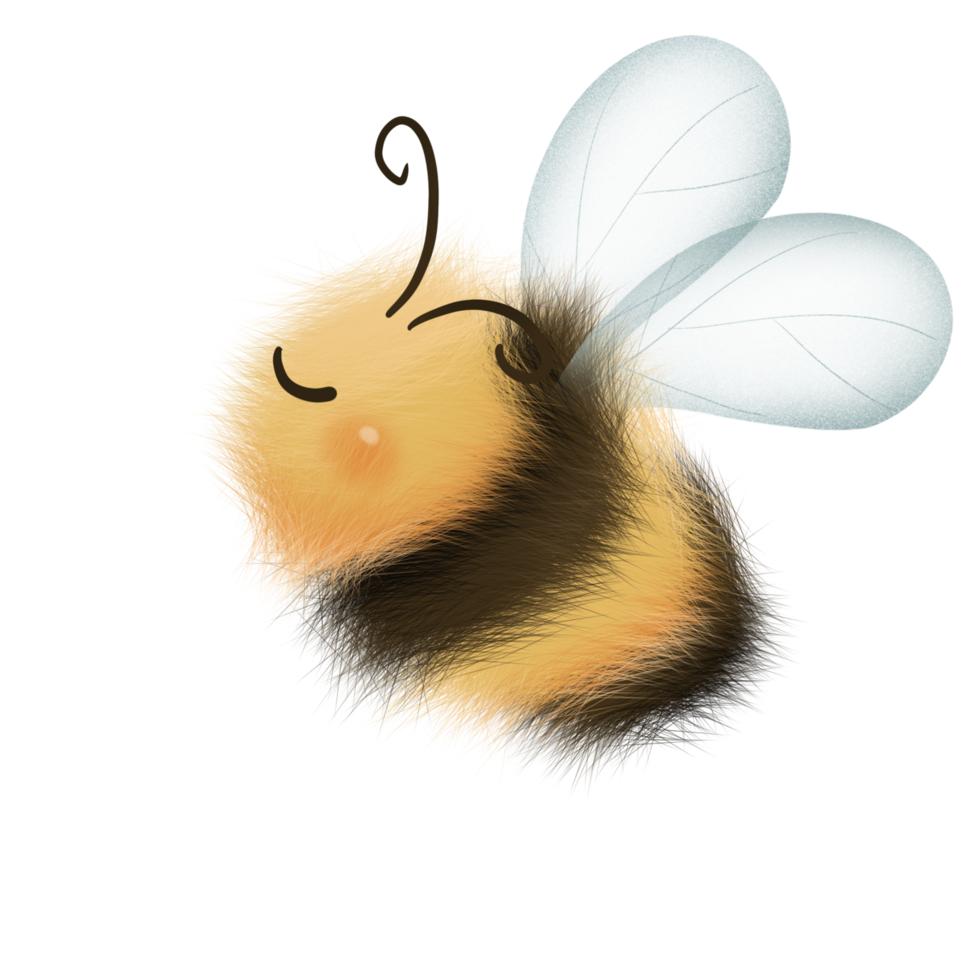 mignonne bourdon illustration png