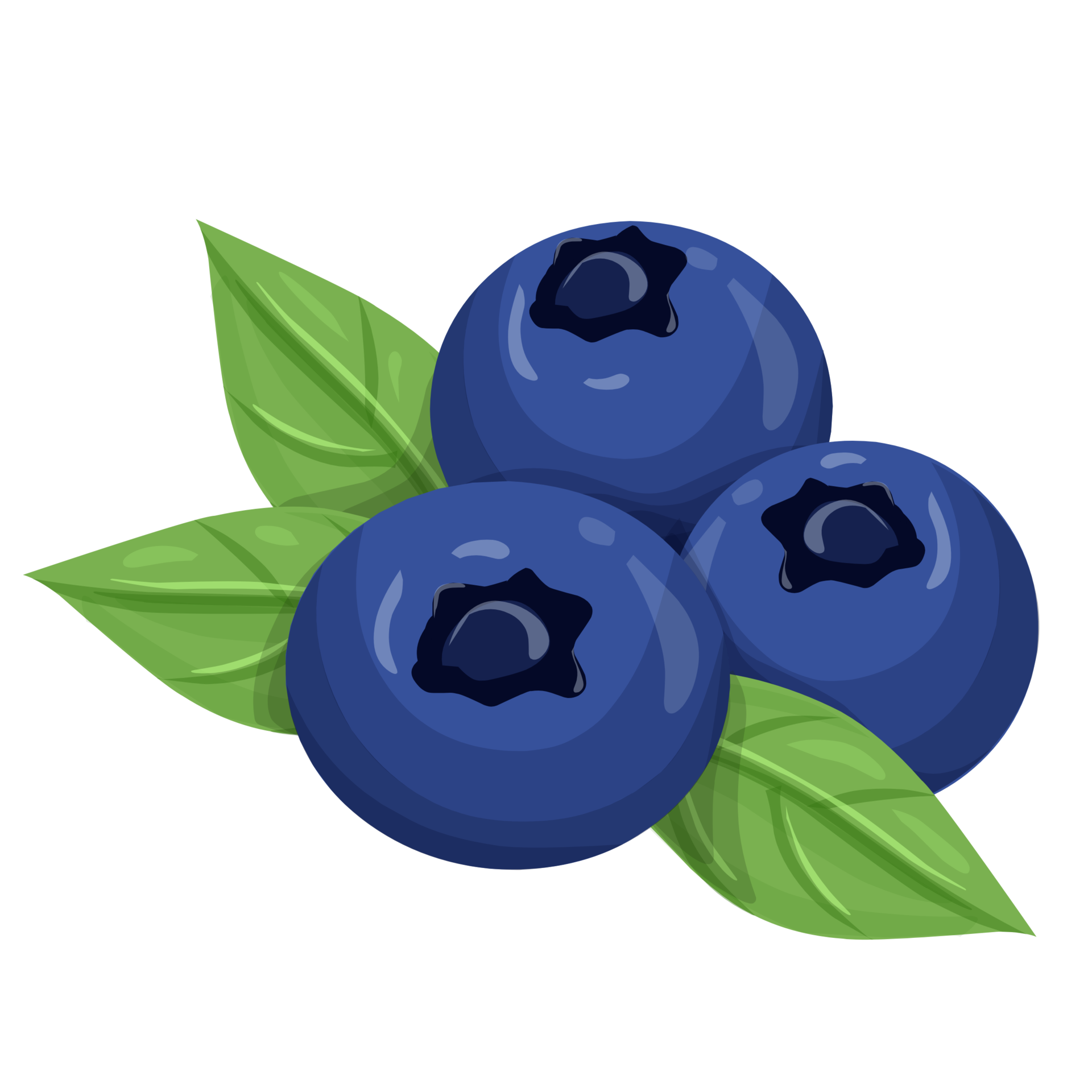 Blueberry clipart fruit Illustration 23254573 PNG