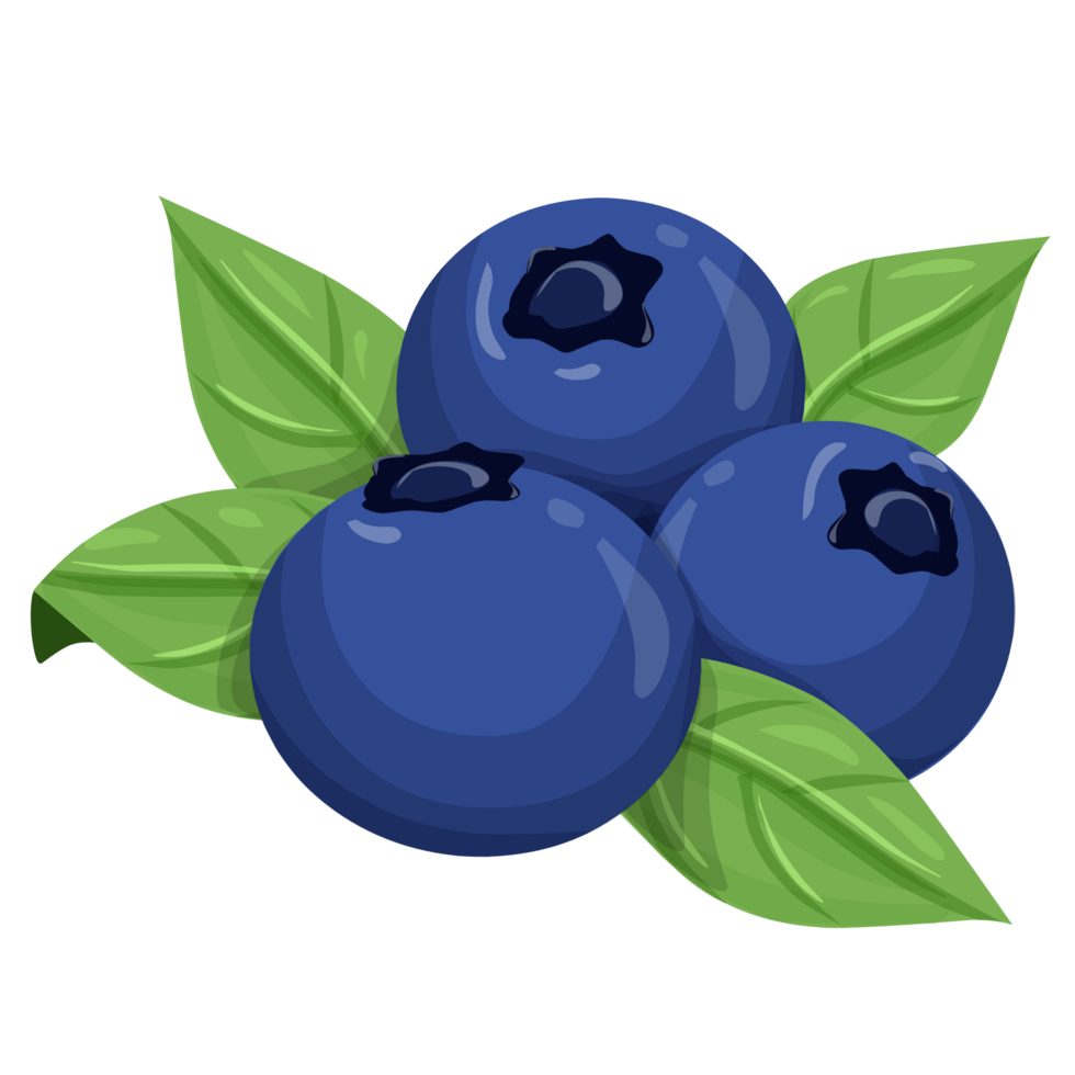 Blueberry Clipart Fruit Illustration 23254577 PNG nutrition-facts-blueberry