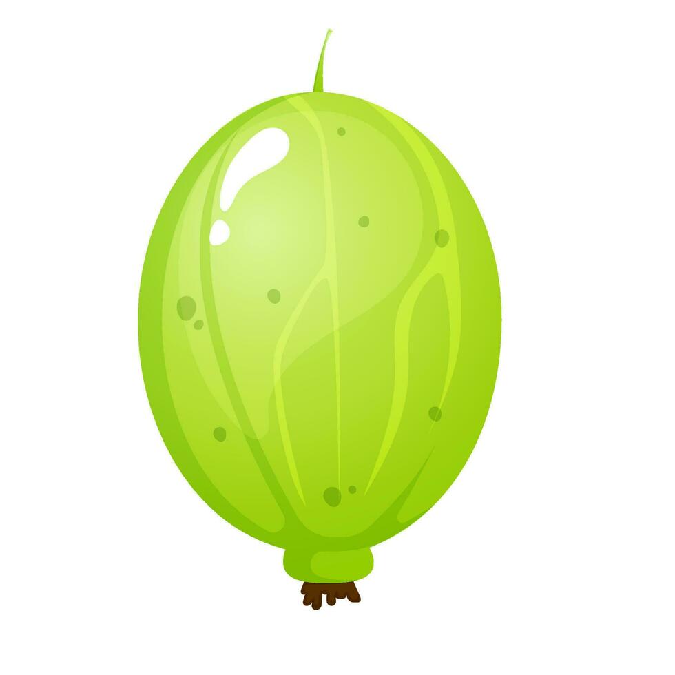 Cartoon style gooseberry vector illustration.