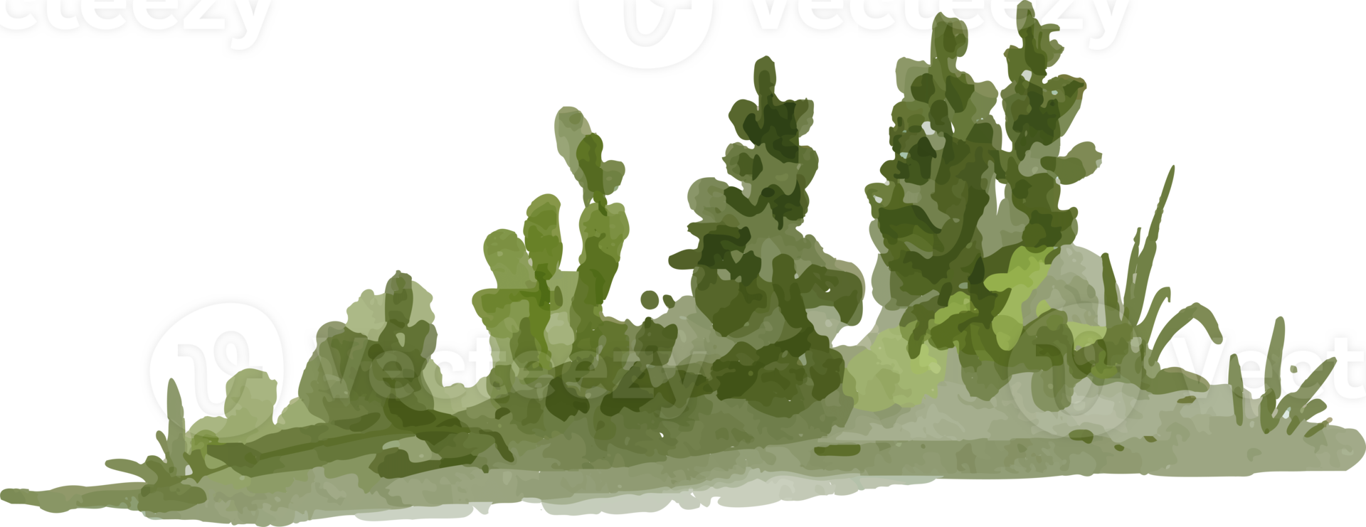 an isolated watercolor illustration of grass png