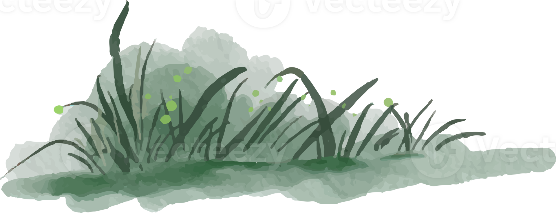 an isolated watercolor illustration of grass png
