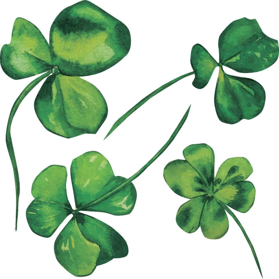 Shamrock, green leaves watercolor set on white background vector