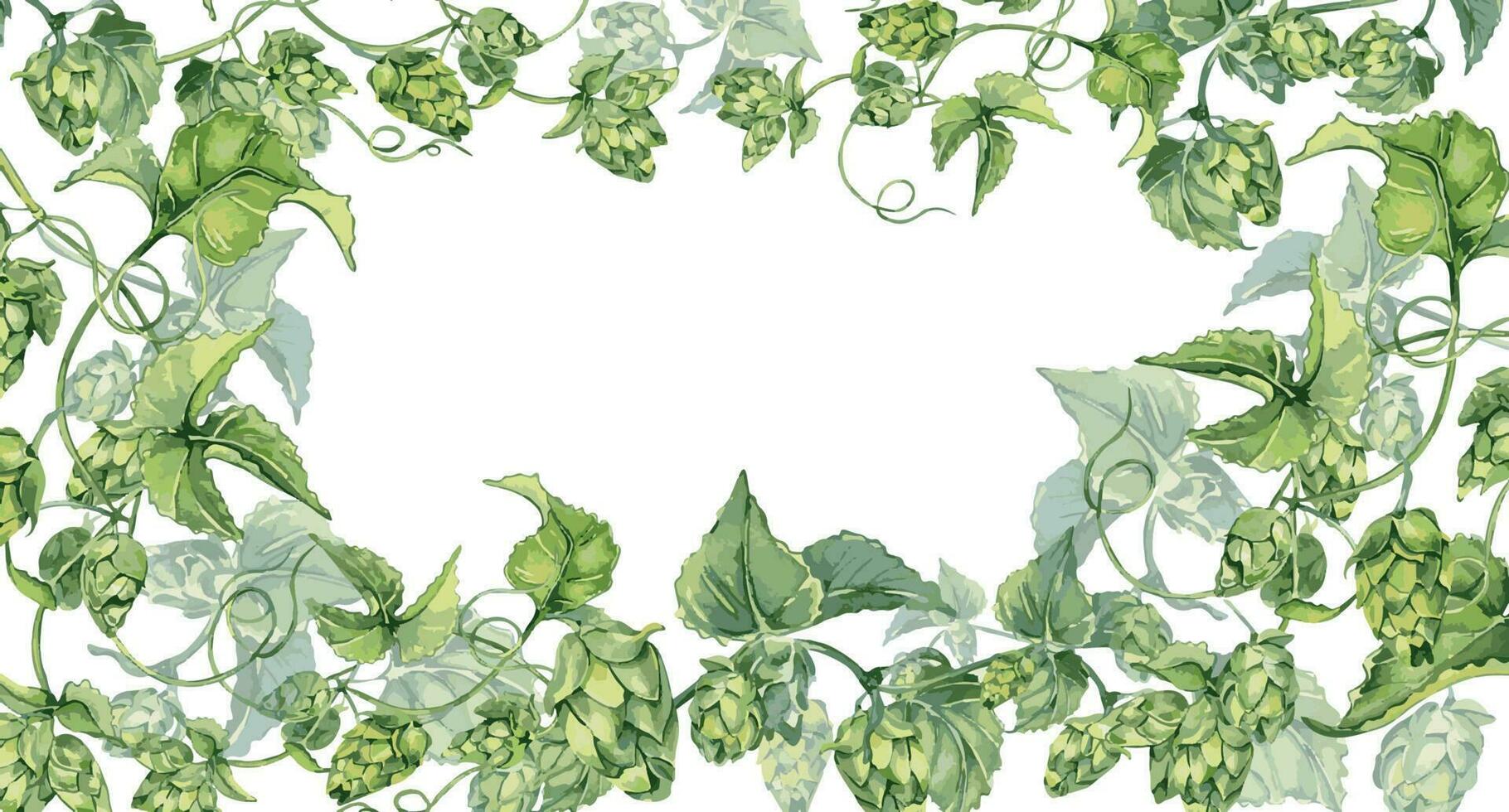 Frame of hop vine, plant humulus watercolor illustration isolated on white background. vector