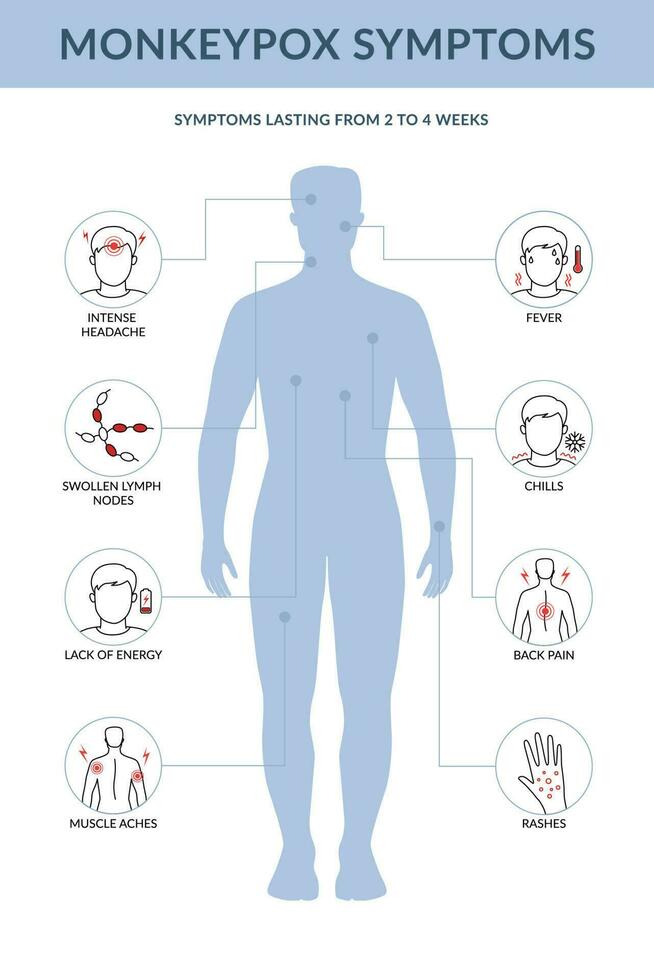 Monkey pox symptoms infographic. It cause skin infections. Flat line vector illustration.
