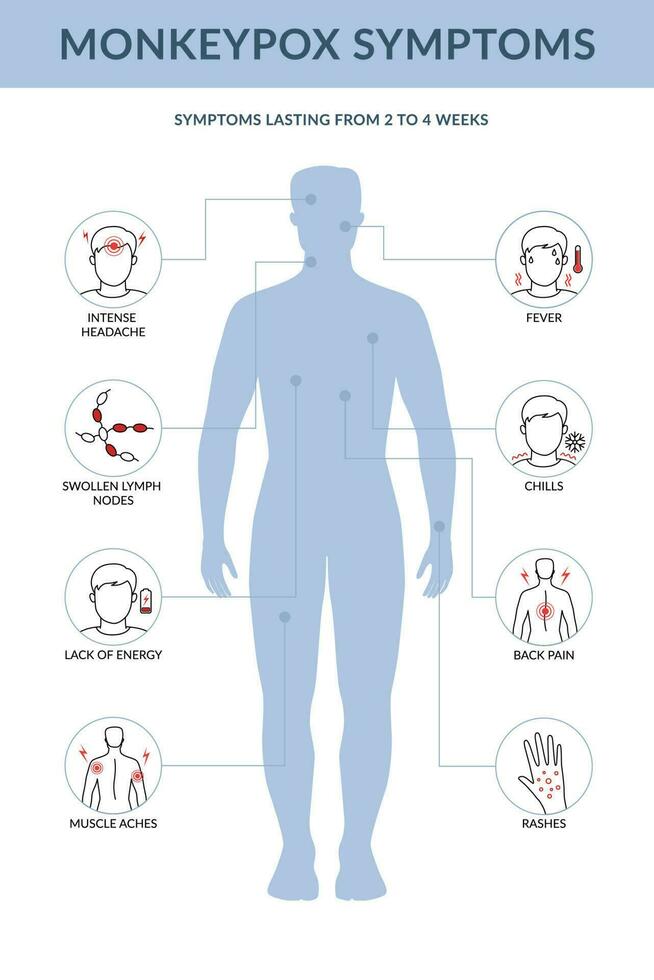 Monkey pox symptoms infographic. It cause skin infections. Flat line vector illustration.
