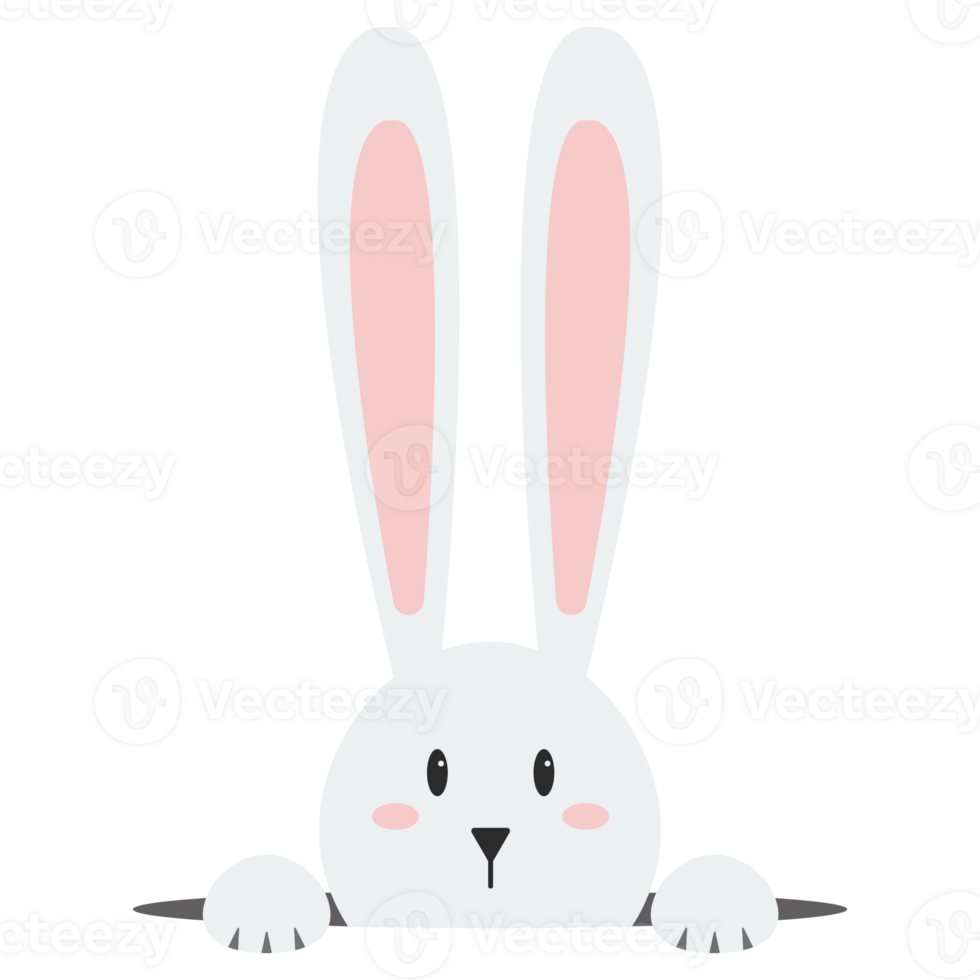 White easter rabbit 23256141 PNG