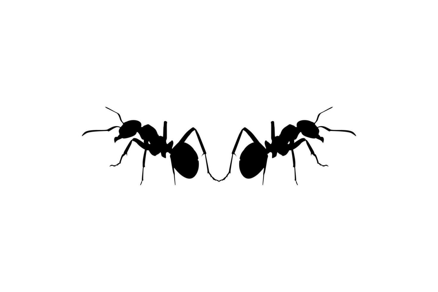 Pair of the Ant Silhouette for Art Illustration, Logo, Pictogram, Website, or Graphic Design Element. Vector Illustration
