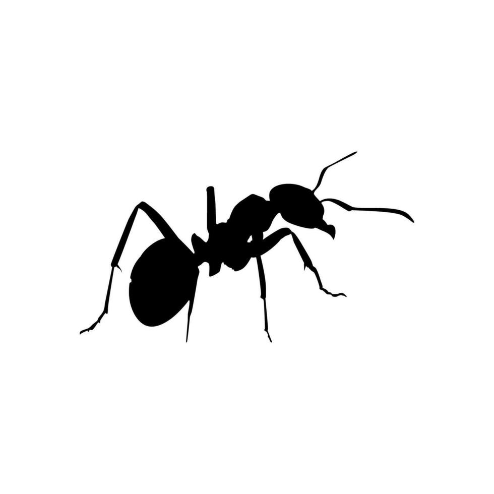 Ant Silhouette for Art Illustration, Logo, Pictogram, Website, or Graphic Design Element. Vector Illustration