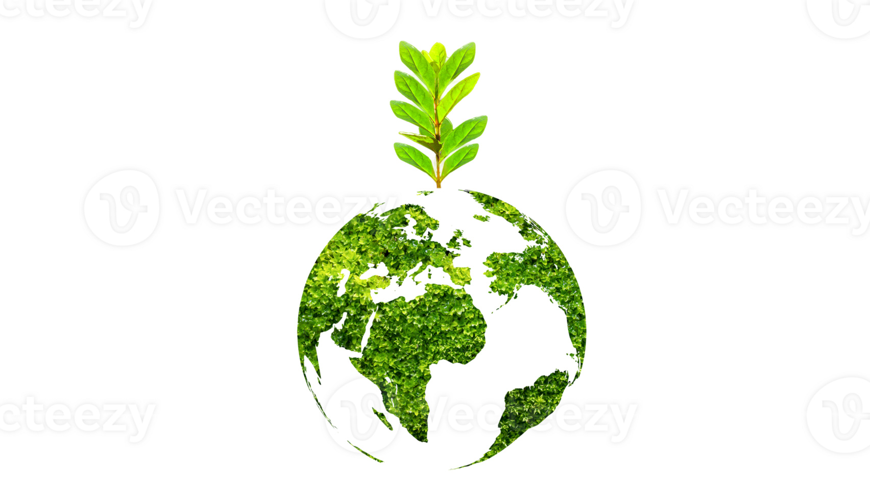 tree in the green globe Isolate on transparent background PNG file