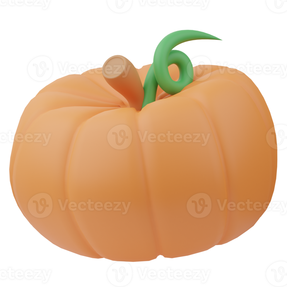 Pumpkin Agriculture 3D Illustration png