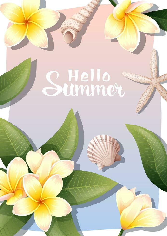 Summer background with frangipani flowers, sea shells, clams, starfish. Postcard, banner flyer with plumeria vector