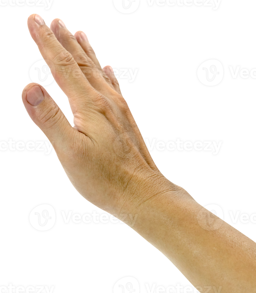 right hand showing signaling stop isolated png