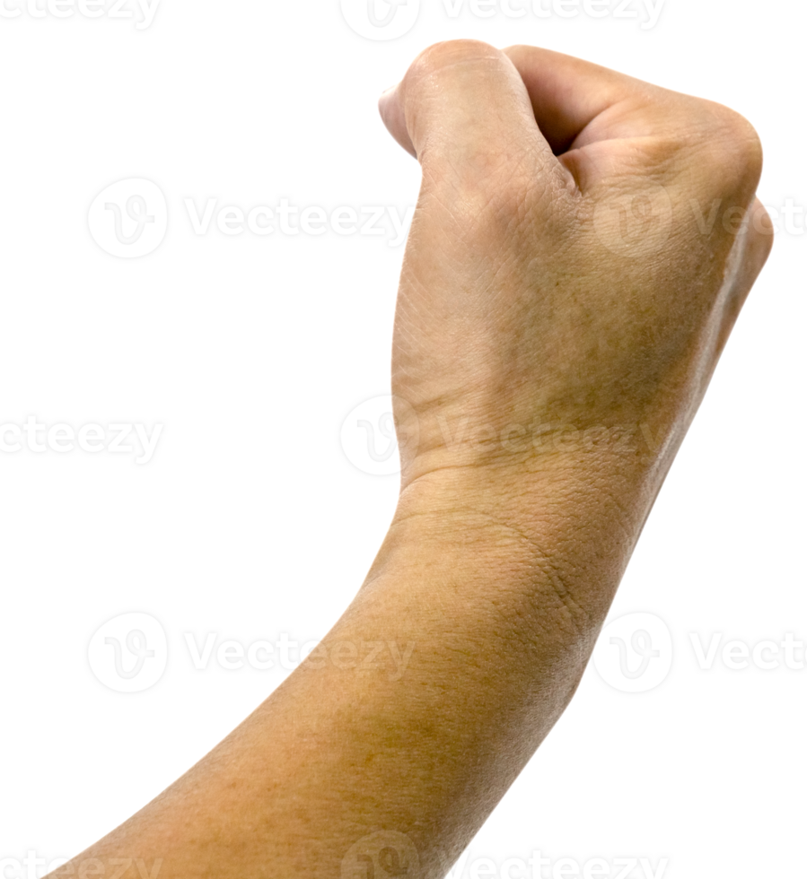 closeup left hand fist isolated png