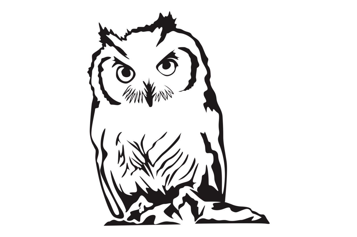 Animal - Owl Line Art png